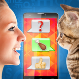 Kitty translator prank