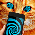 Hypnosis Cat Astral Prank آئیکن