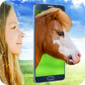 piada Pony Rosto Scanner