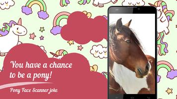 Pony Face Scanner joke スクリーンショット 1