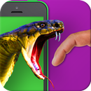 Predador Anaconda 🐍 Simulador APK