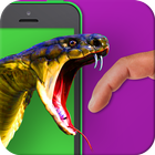 Predator Anaconda 🐍 Simulator icon