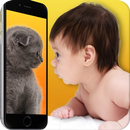 ¿Qué gato es usted: Scanner Simulator APK