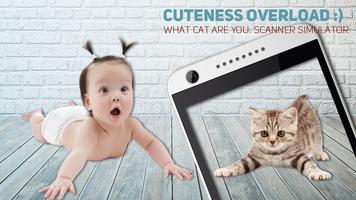 What Cat Are You: Scanner Simulator Affiche