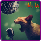 Cat Soundboard