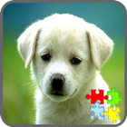 Dog Puzzle Games आइकन