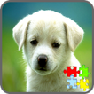 ”Dog Puzzle Games