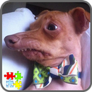 Tuna The Dog Puzzle APK