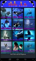 Whale Orca Soundboard 截圖 3