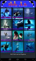 Whale Orca Soundboard 海報