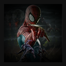 Best Wallpaper HD Spiderman Crawling APK