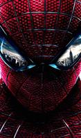 Best Wallpaper HD Spiderman Crawling Affiche