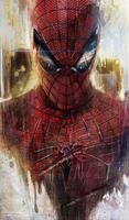 Best Wallpaper HD Spiderman Crawling capture d'écran 2