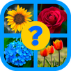 Adivina la Flor APK