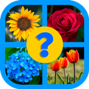 Adivina la Flor APK