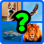 Indovina gli Animali