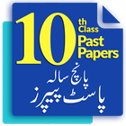 10th Class Past Papers icône