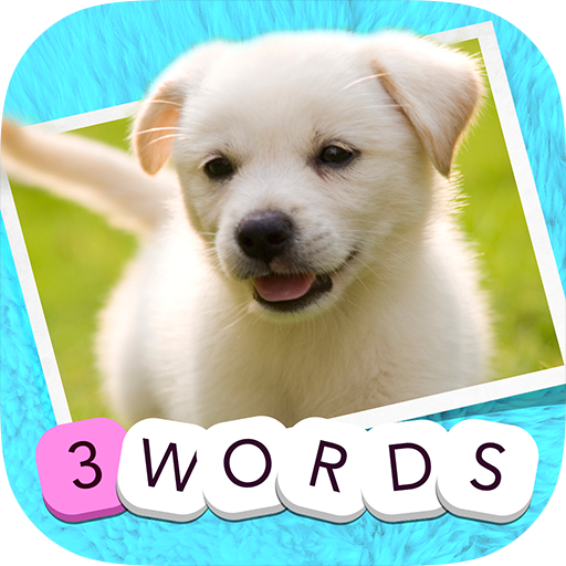 3 Words: Cute Animals