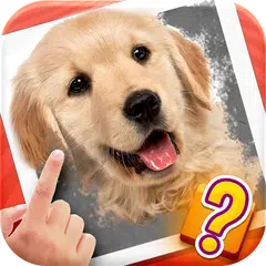 Scratch Quiz APK download