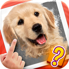 Scratch Quiz icon
