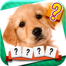 Word and Picture Quiz APK