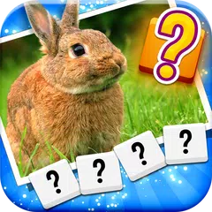 One Pic Three Words APK download