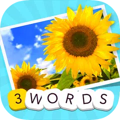 3 Words: Summer APK download