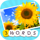 3 Words: Summer APK