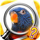 Zoom Quiz APK