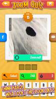 Zoom Quiz ภาพหน้าจอ 1