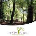 The New Forest أيقونة