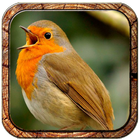 30 animal sounds and ringtones icône