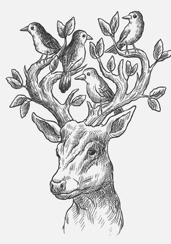 How To Draw Animals New For Android Apk Download How To Draw Animals New For Android Apk Download