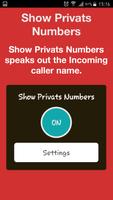 Show Privats Numbers poster