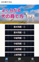 犬の育て方Q～犬のしつけ、ワンちゃんの気持ちが分かるアプリ plakat