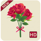 rose hd wallpapers 1080p icon