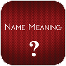 Name Meanings APK
