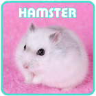 How to Maintain a Hamster آئیکن