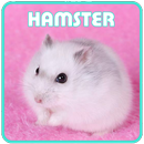 Как сохранить Hamster APK