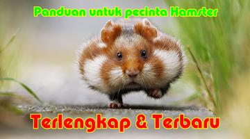 How to Maintain a Hamster penulis hantaran