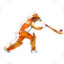 IPL T20 Cricket Schedule 2017 APK