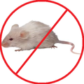 Anti Rat Repellent