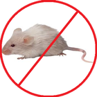 Anti Rat Repellent icon