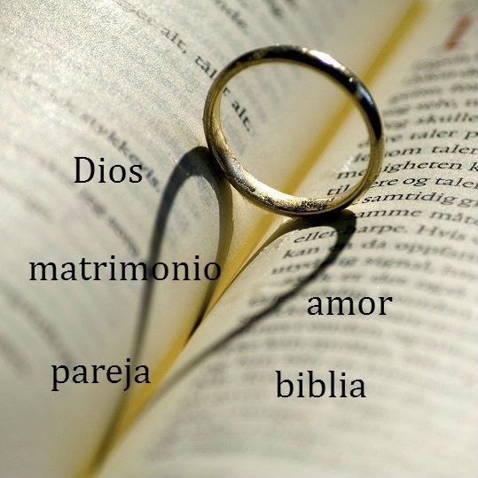 Matrimonio Cristiano for Android - APK Download Matrimonio Cristiano for Android - APK Download
