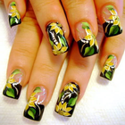 Icona Collection of Nails Designs