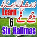 Namaz our 6 kalimas With Tarjuma APK