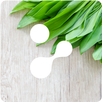 SamkAI APK