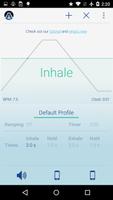 Paced Breathing Pro تصوير الشاشة 1