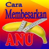 Cara Membesarkan Anu 아이콘