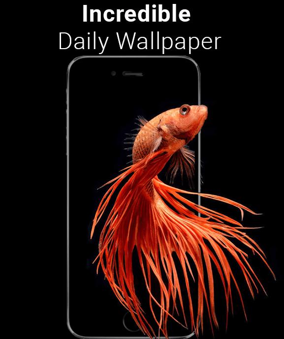 My Image 10